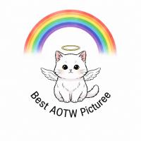 best aotw picture award 